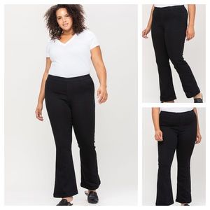 New! Cello Jeans PLUS Pull On Flare Jeans Petite